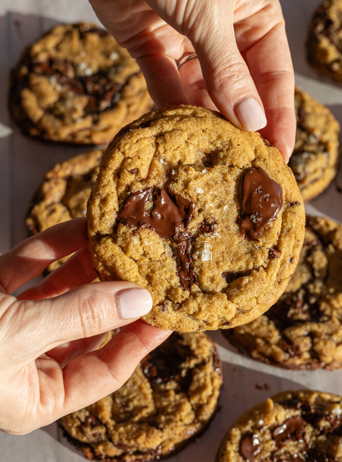 chocolate chip cookies