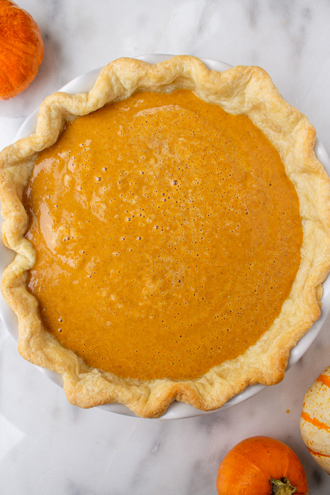 pumpkin pie