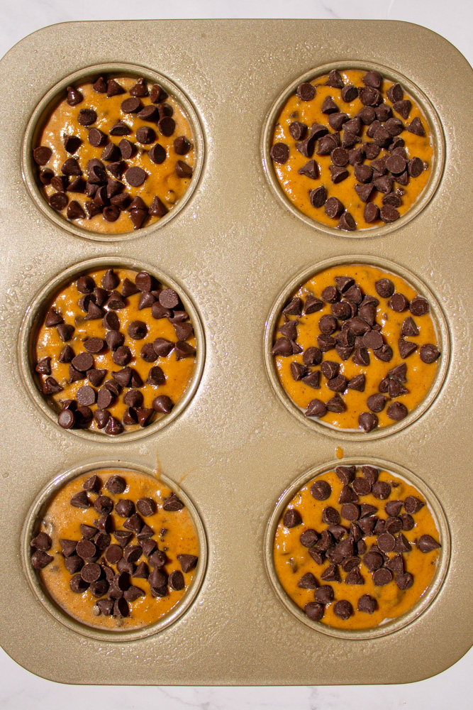 pumpkin chocolate chip muffins