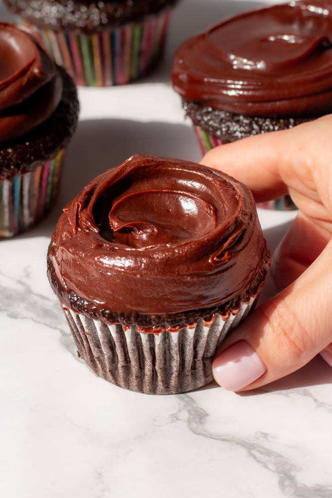 chocolate cupcakes with chocolate icing