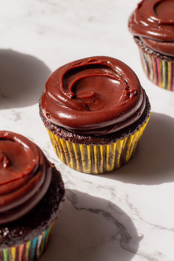 chocolate cupcakes with chocolate icing