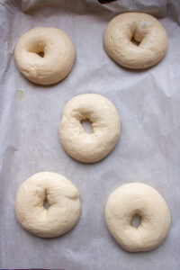 homemade bagels before boiling