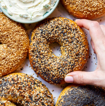 homemade bagels