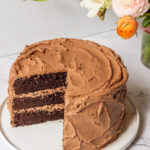 chocolate cake with nutella icing