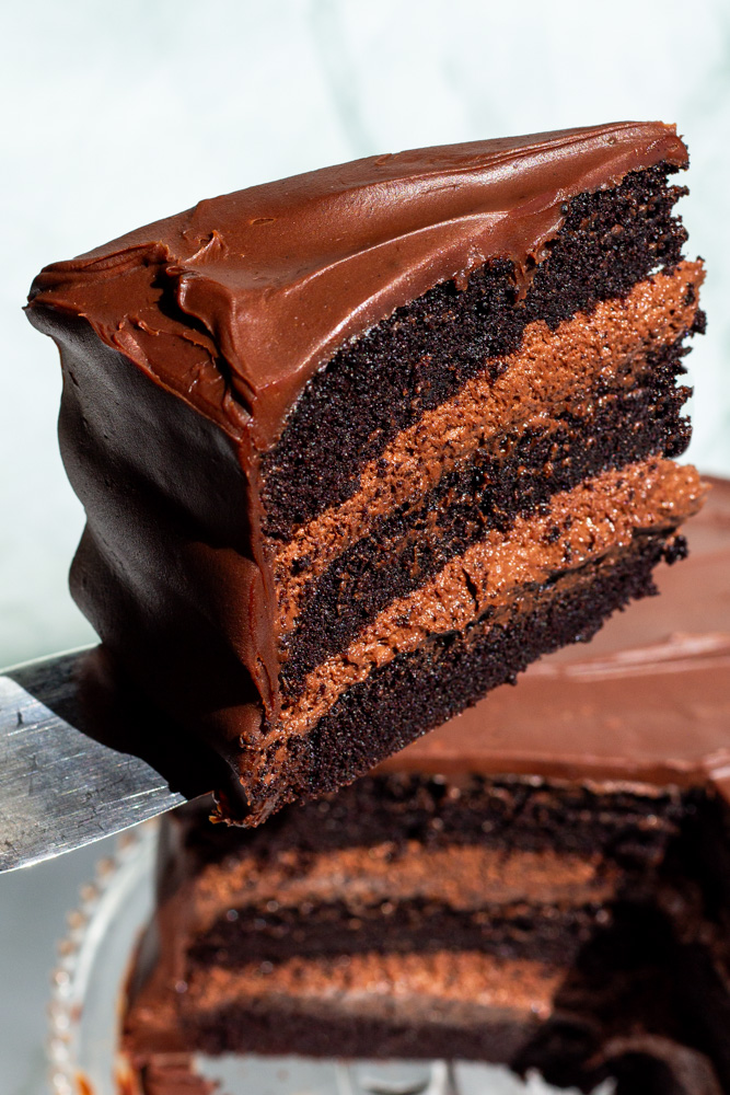the bear chocolate cake