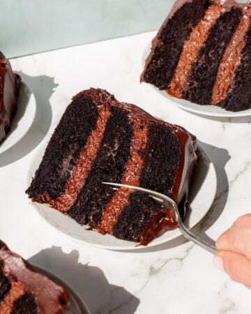 the bear chocolate cake