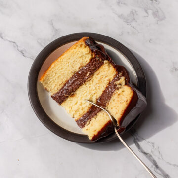 vanilla cake with chocolate mousse filling