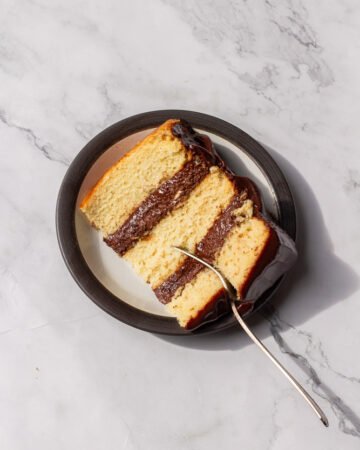 vanilla cake with chocolate mousse filling