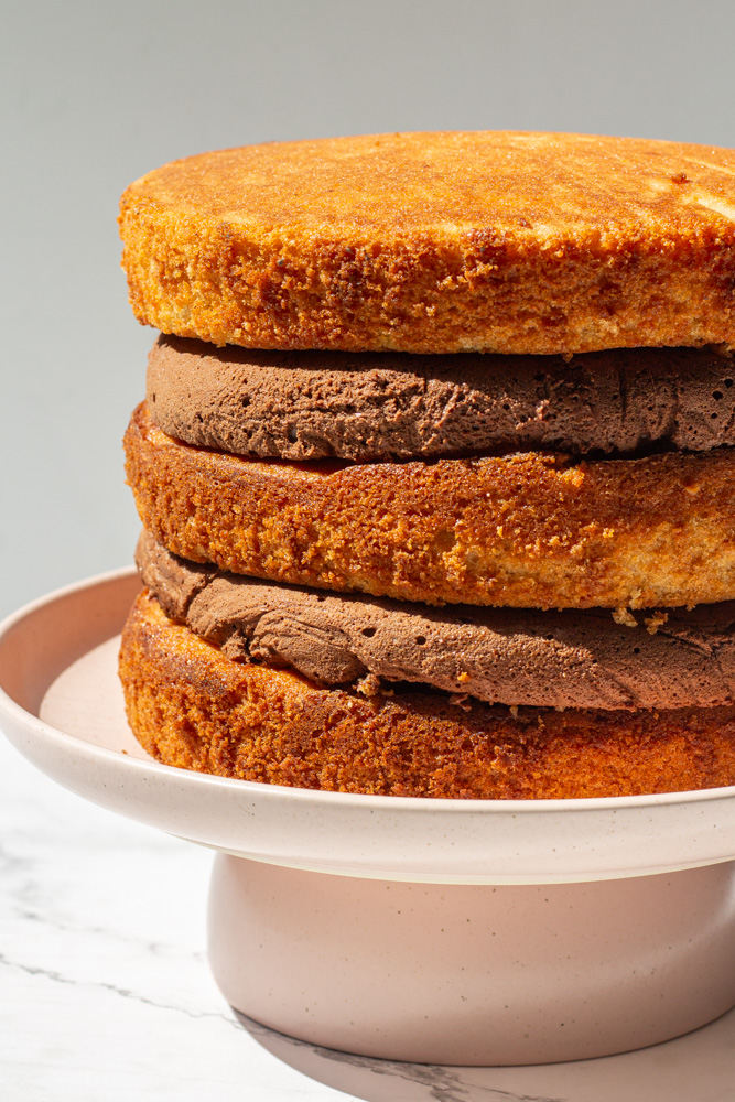 vanilla cake with chocolate mousse filling