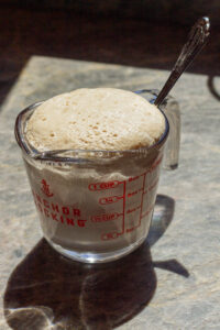 bloomed yeast
