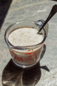 yeast before blooming