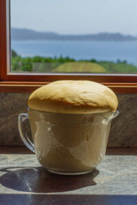 pumpkin cinnamon roll dough