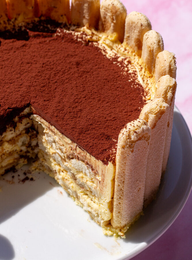 Tiramisu Charlotte Cake