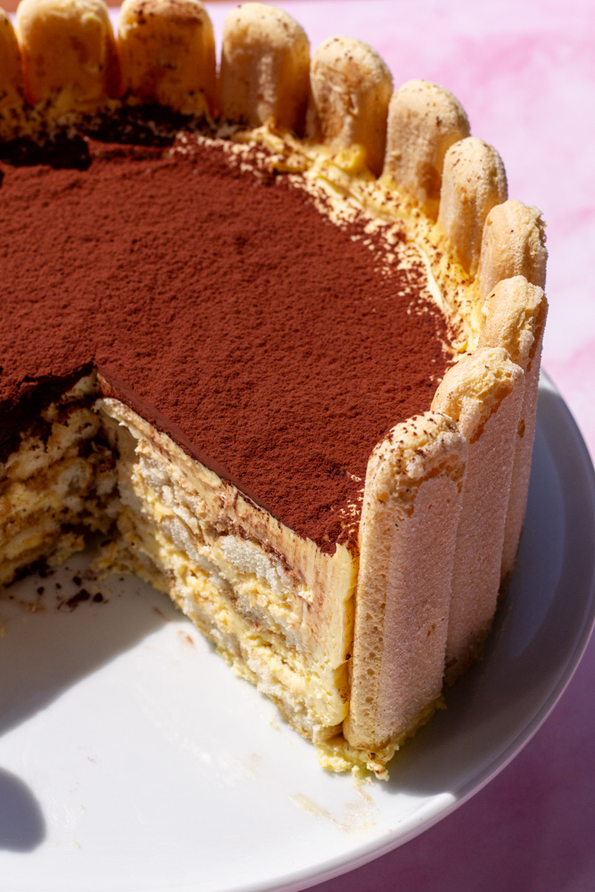 Tiramisu Charlotte Cake