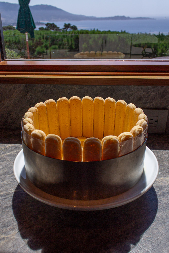 Tiramisu Charlotte Cake