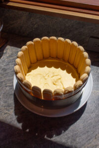Tiramisu Charlotte Cake
