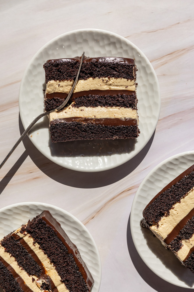 Fudgy Chocolate Peanut Butter Cake