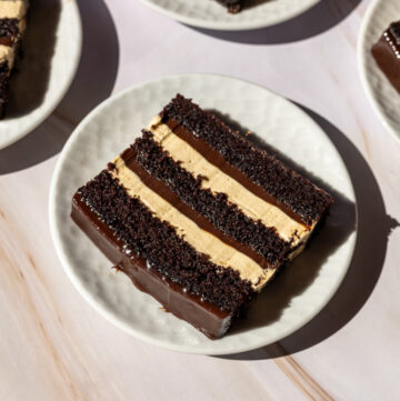 Fudgy Chocolate Peanut Butter Cake
