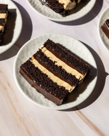 Fudgy Chocolate Peanut Butter Cake