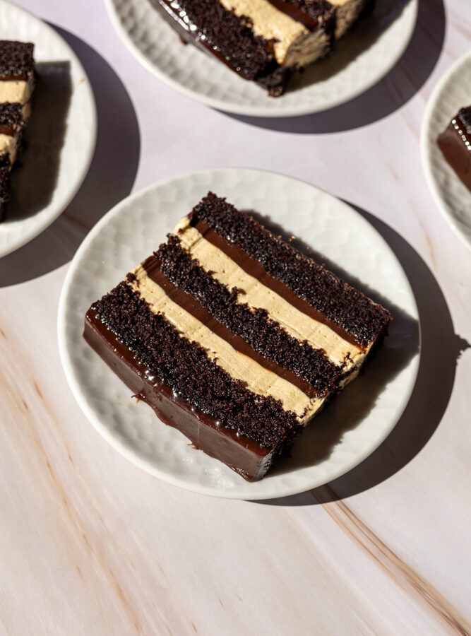 Fudgy Chocolate Peanut Butter Cake