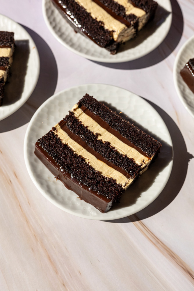 Fudgy Chocolate Peanut Butter Cake