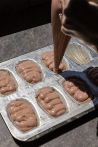 Strawberry Madeleines