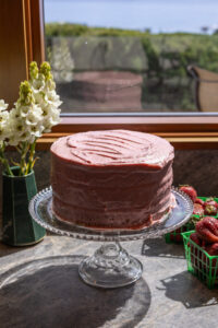 Strawberry Shortcake Cake before crumbs