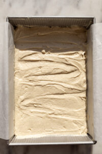 vanilla cake batter