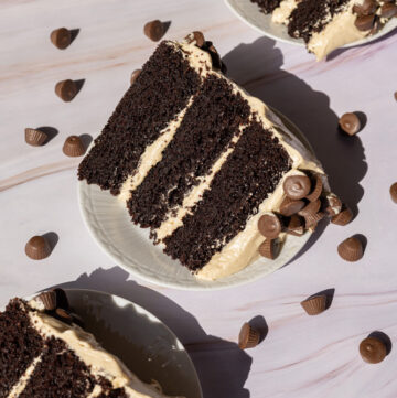 peanut butter cup chocolate layer cake